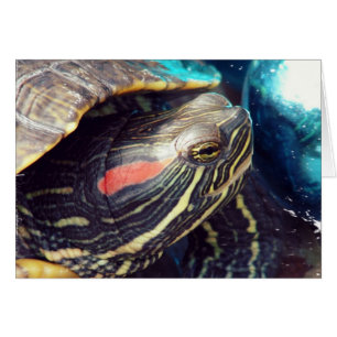 Cartão Tartaruga de Natal