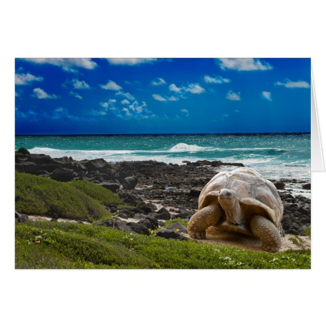 Cartão Tartaruga grande no bordo do mar (Frente Horizontal)