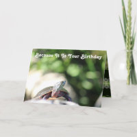 Tartaruga Velha Engraçada