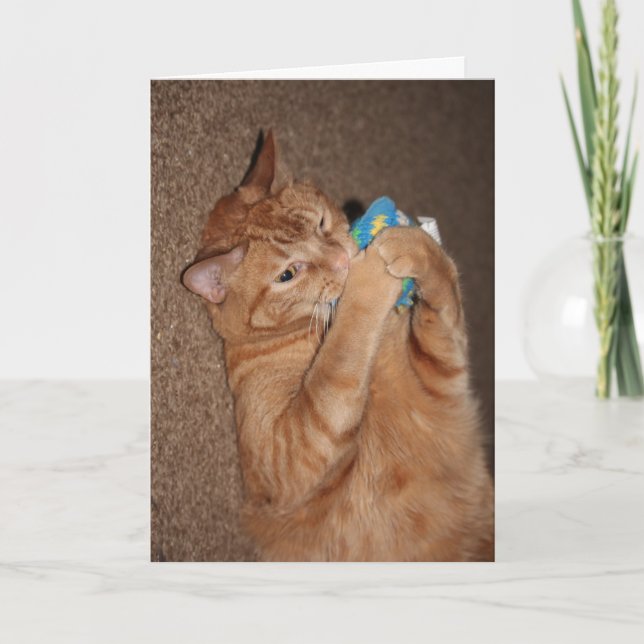 Cartão Tater (Frente)