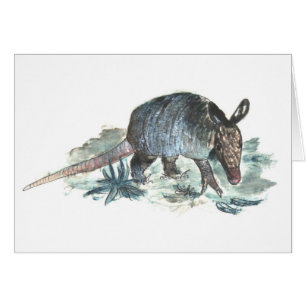 Cartão Tatu do bebê