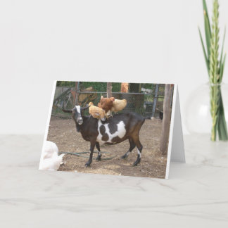 Cartão Táxi da cabra