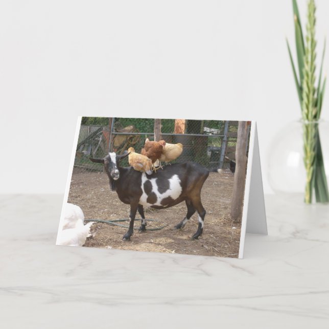 Cartão Táxi da cabra (Frente)