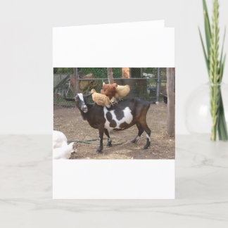 Cartão Táxi da cabra