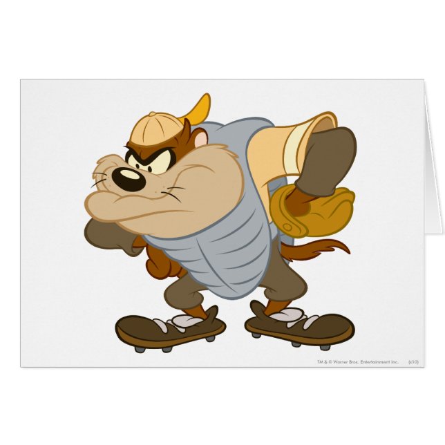 Cartão TAZ™ no Monte 2 do Catcher (Frente Horizontal)