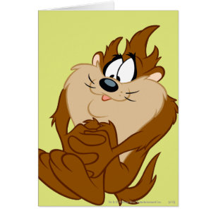 Cartão TAZ™ posicionando 4