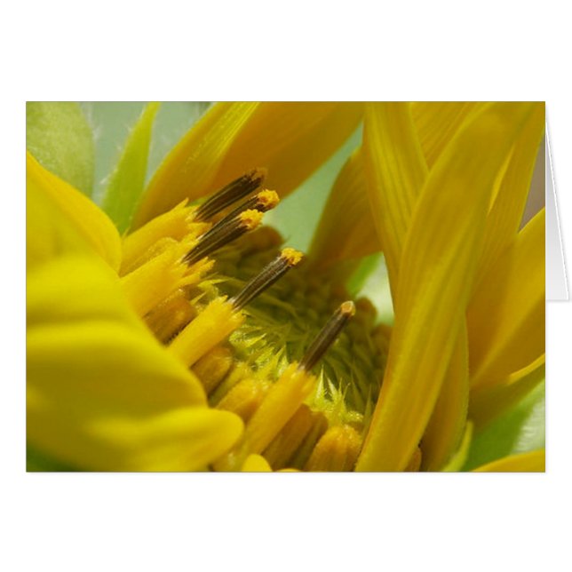 Cartão Te amo (Frente Horizontal)