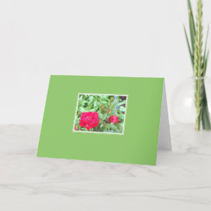 Cartão Tea Roses Inset Blank Greeting