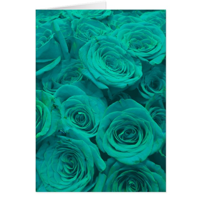 Cartão Teal elegante romântico - rosas verdes (Frente)
