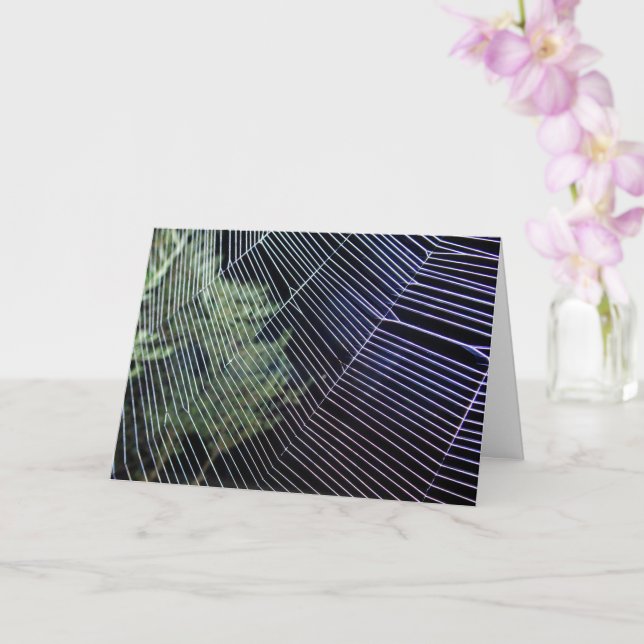 Cartão Teia de Aranha Rodas Laranjas (Orquídea)