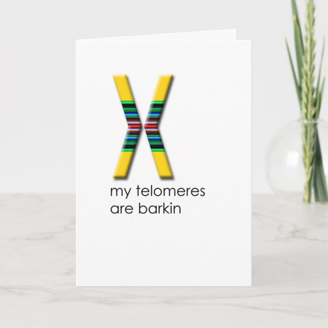 Cartão Telômeros (Frente)