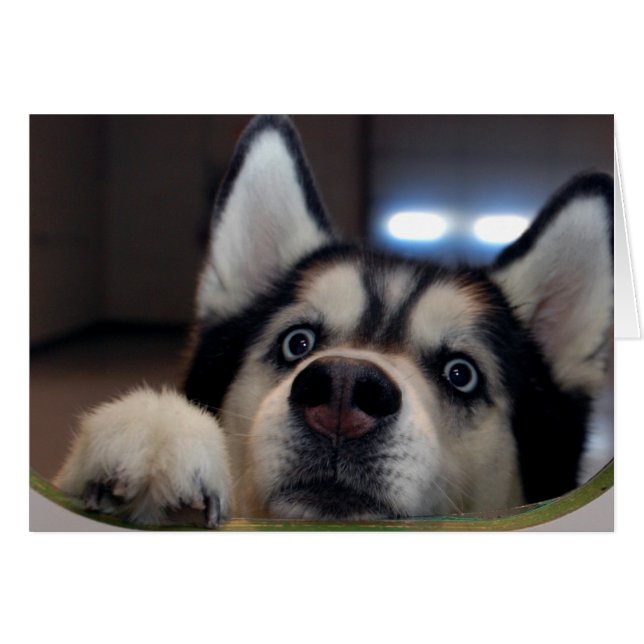 Cartão Tem Alguém Lá? (Frente Horizontal)