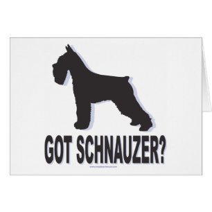 Cartão Tem Schnauzer?