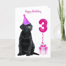 Tema "aniversário de 3 anos" - Garota Rosa-Cachoro