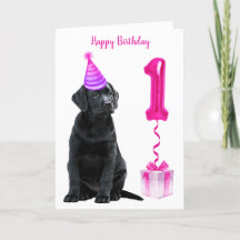 Tema Da Cãozinha Do primeiro aniversario - Cachorr