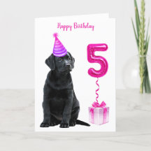 Tema Da Papoila De 5 Aniversário- Garota Rosa De C
