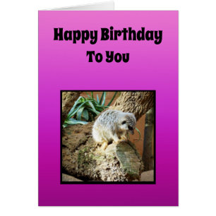 Cartão Tema do aniversário das meninas de Meerkat,