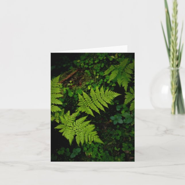 Cartão Tema sombrio da natureza em verde escuro com samam (Frente)