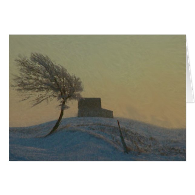 Cartão Tempestade da neve de Illinois (Frente Horizontal)