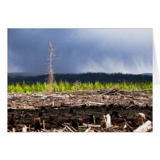 Cartão Tempestade de bloqueio