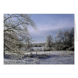 Cartão Tempestade de gelo 1