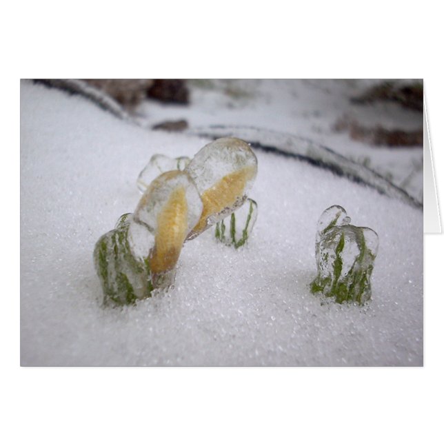 Cartão Tempestade de gelo 2003 (Frente Horizontal)