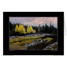 Cartão Tempestade de Tamarack