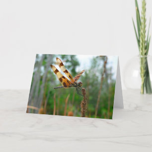 Cartão Tempo de alimentação