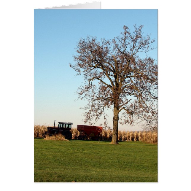 Cartão Tempo de Colheita 2 (Frente)