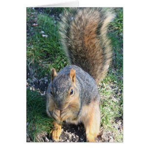 Cartão Tempo de janto