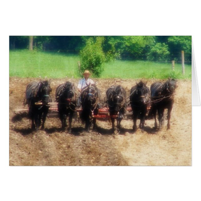 Cartão Tempo de Plantação (Frente Horizontal)