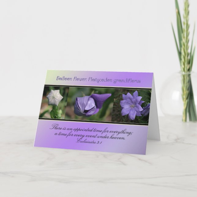 Cartão Tempo designado para tudo (Frente)