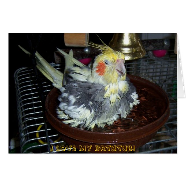 Cartão Tempo do banho (Frente Horizontal)