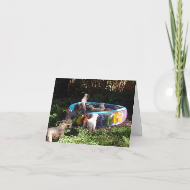 Cartão Tempo do partido! (Frente)