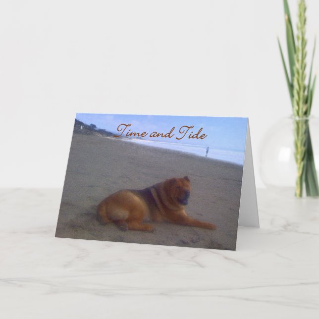 Cartão Tempo & maré (Frente)