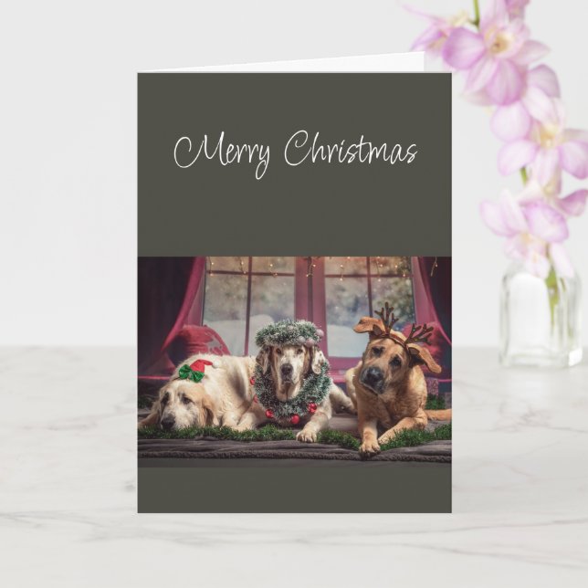 Cartão Temporada Alegre Natal para ser Cães Alegres (Orquídea)