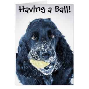 Cartão Tendo uma bola!