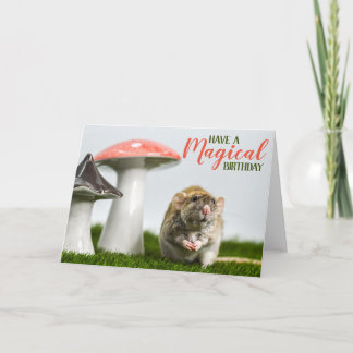 Cartão Tenha um aniversário mágico