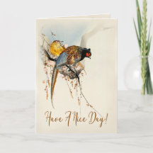 Tenha Um Belo Dia, Faisão De Vintage Japonês