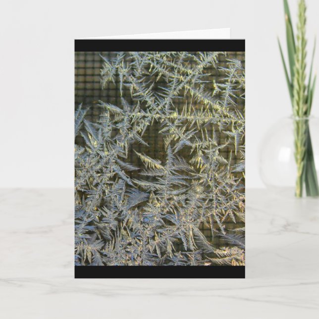 Cartão Tenha um dia bonito toda a ocasião (Frente)