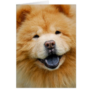 Cartão Tenha um feliz