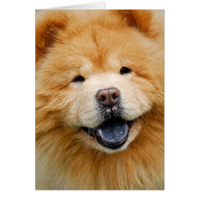 Cartão Tenha um feliz (Frente)