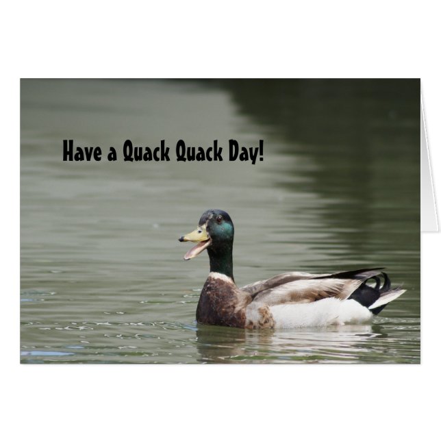 Cartão Tenha um Quack Day! (Frente horizontal)