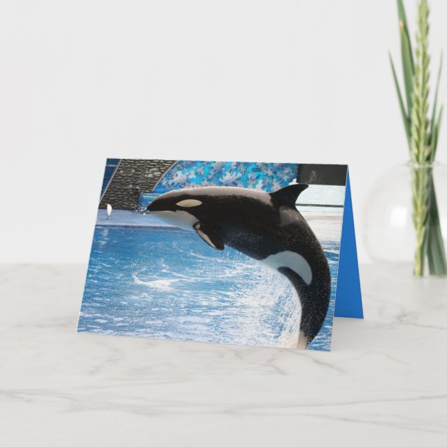 Cartão Tenha uma baleia de um dia! (Frente)