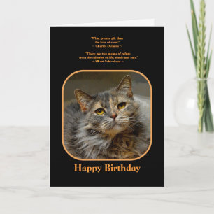 Cartão Tenham um gato de aniversário tortoisesinfernal.