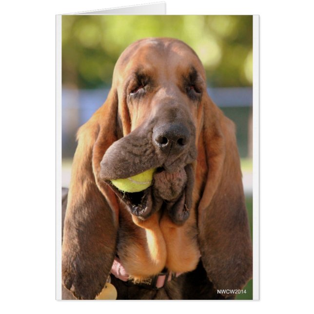 Cartão Tênis, alguém? (Frente)