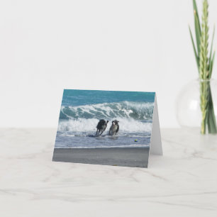 Cartão Ter uma Ball BD 1