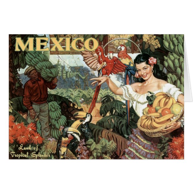 Cartão Terra do esplendor tropical (Frente Horizontal)