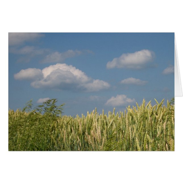 Cartão Terra e Céu (Frente Horizontal)