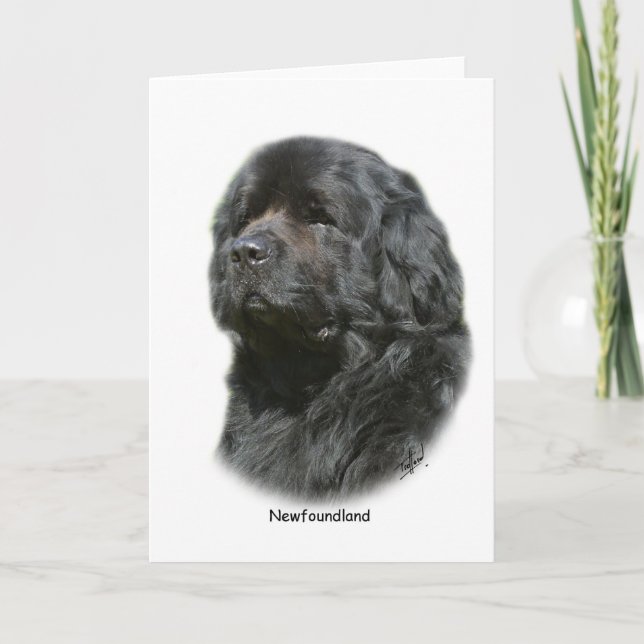 Cartão Terra Nova (Frente)